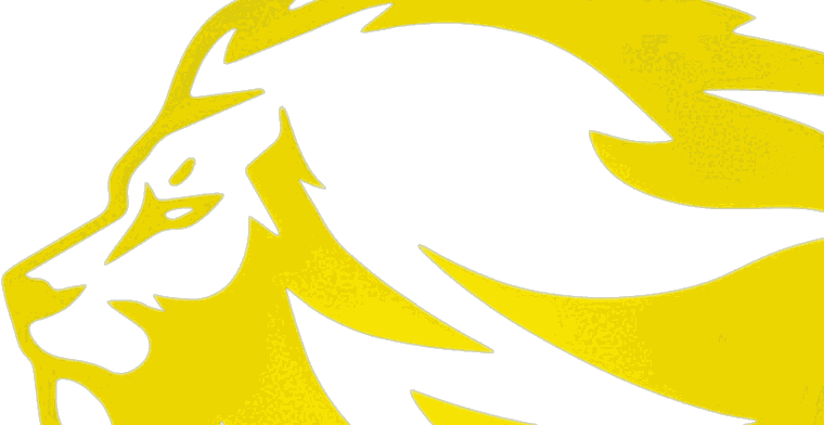 FDP-Löwe (Eye-Catcher)
